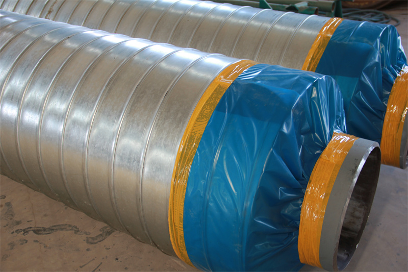 ��п��Ƥ���¹�