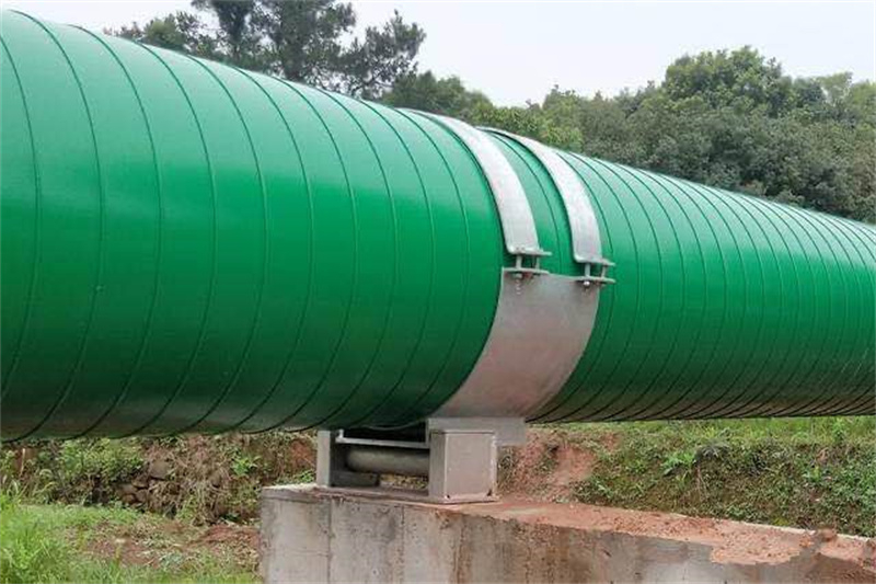 ������Ƥ�������¹�